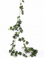 Hedera gala slinger 205cm - UV bestendig